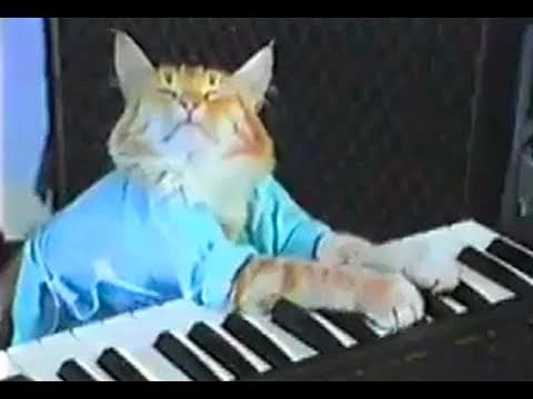 Keyboard Cat