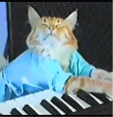 Keyboard Cat