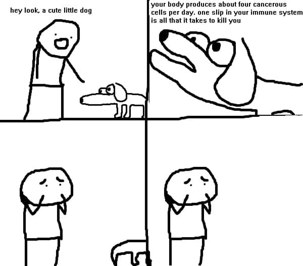 Oh no it's retarded